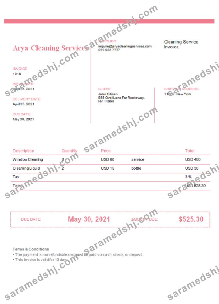USA Arya Cleaning Services invoice